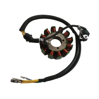 Статор магнето в сборе C4 300 Статор магнето в сборе C4 300