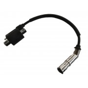 Катушка зажигания C4 300