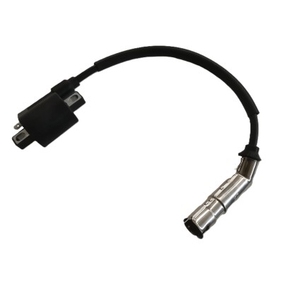 Катушка зажигания C4 300 Катушка зажигания C4 300