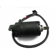 Стартер в сборе C4 300